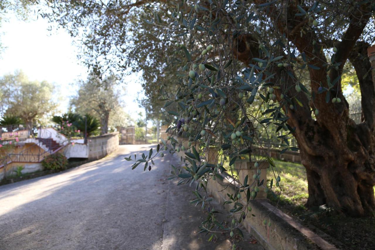 La Masseria Pietramarmo Caiazzo - App To Con Vista Exterior photo