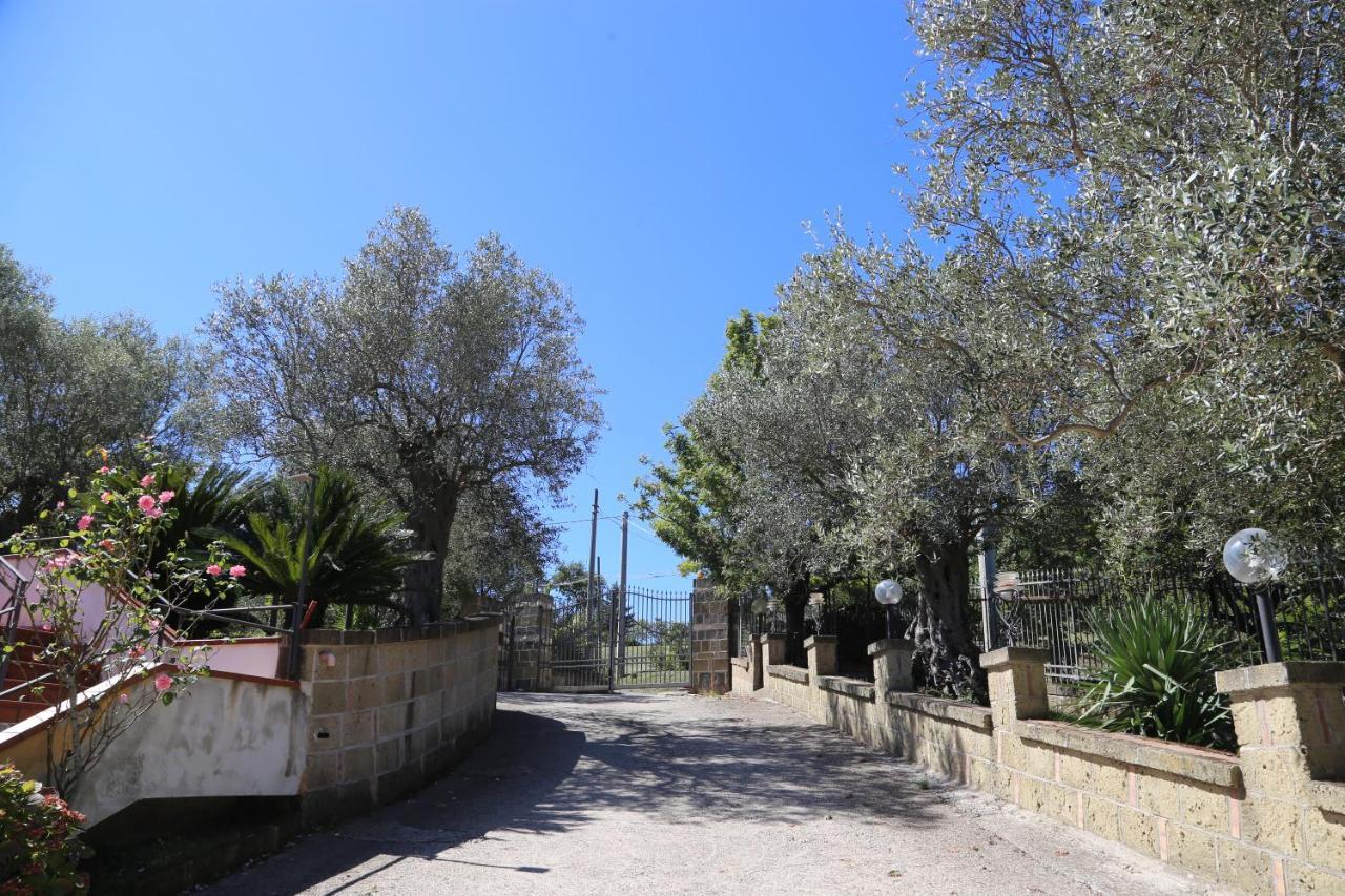 La Masseria Pietramarmo Caiazzo - App To Con Vista Exterior photo
